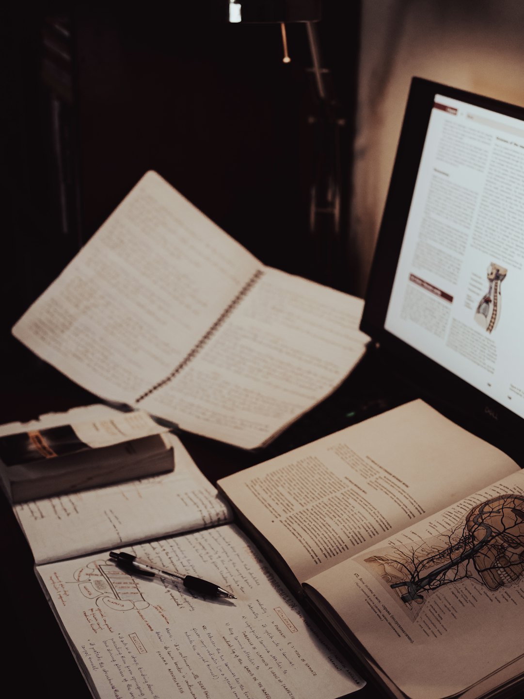 Ein unordentlicher Schreibtisch mit Lehrbüchern und einem Laptop, auf dem Anatomie gezeigt wird.